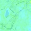 Mapa topográfico Río Viejo Primera Sección, altitud, relieve