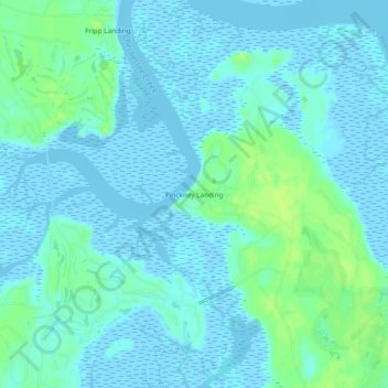 Mapa topográfico Pinckney Landing, altitud, relieve
