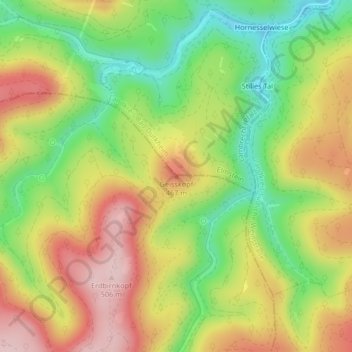 Mapa topográfico Geisskopf, altitud, relieve