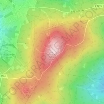 Mapa topográfico Großer Feldberg, altitud, relieve