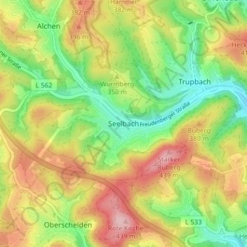 Mapa topográfico Seelbach, altitud, relieve
