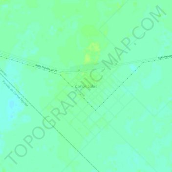 Mapa topográfico Carlos Salas, altitud, relieve