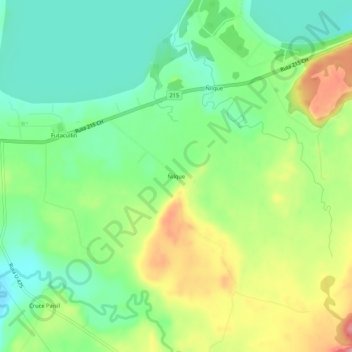 Mapa topográfico Ñilque, altitud, relieve