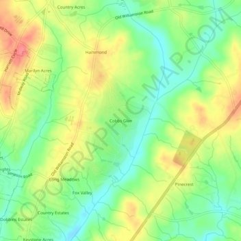 Mapa topográfico Cobbs Glen, altitud, relieve