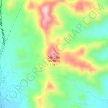 Mapa topográfico Cerro del Bachoco, altitud, relieve