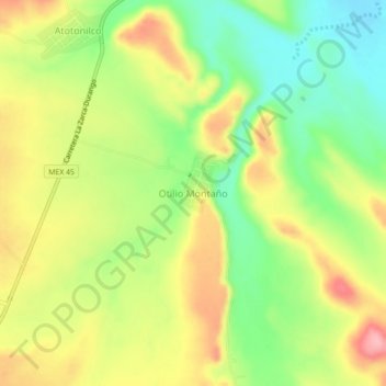 Mapa topográfico Otilio Montaño, altitud, relieve